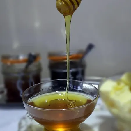 Hotell Christi's Borova 4*