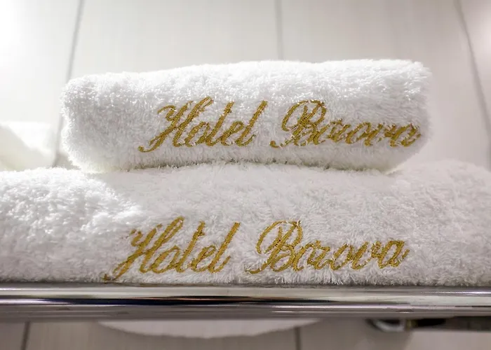 Christi's Borova Κορυτσά