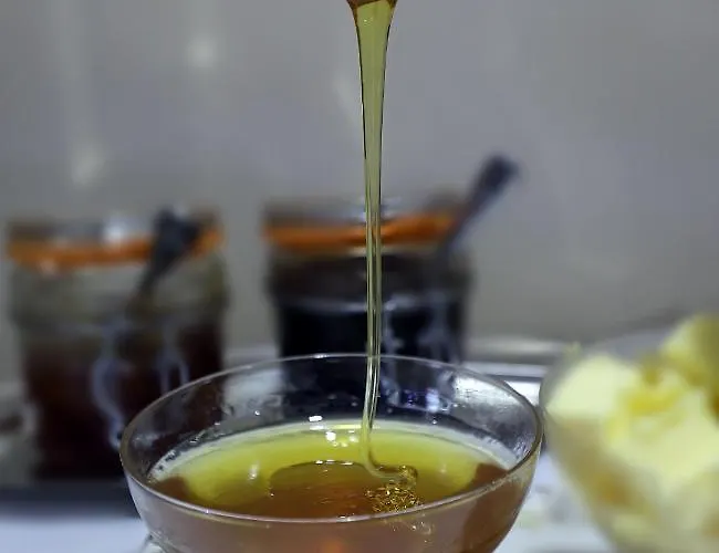 Ξενοδοχείο Christi's Borova 4*